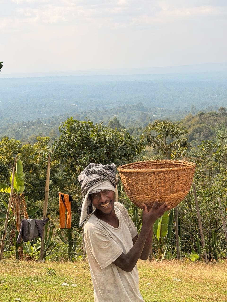 Ethiopian coffee plantation